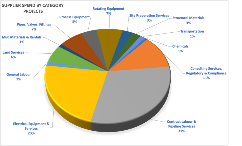 Supplier spend by category projects