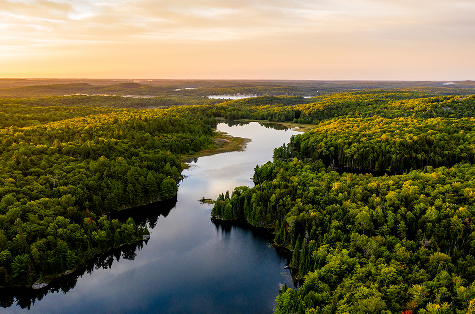 Beautiful landscape view of a forest and river.