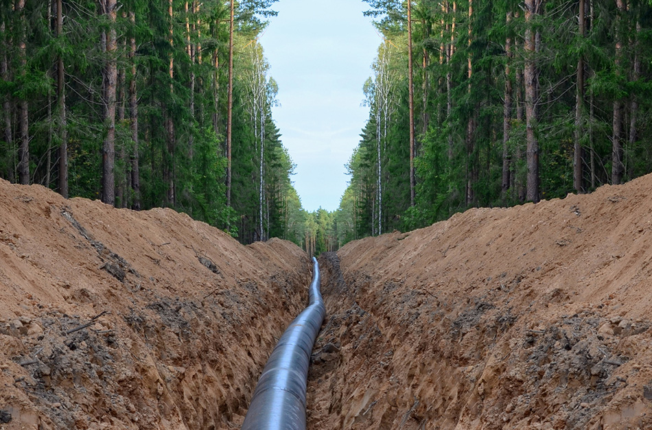 Pipeline running underground in a forest.